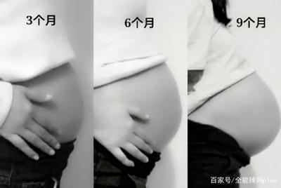 怀孕六个月孩子多大