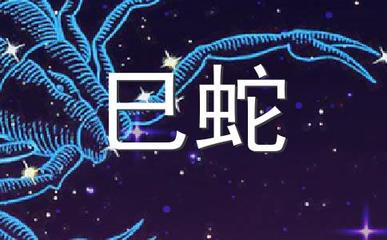 和平代表什么生肖