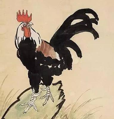 生肖鸡男