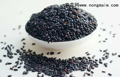 孕妇能吃黑米