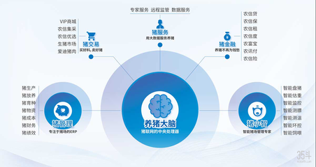 华雕卫浴是几线品牌