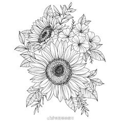 黑白装饰画花卉