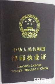 专业刑事案件律师