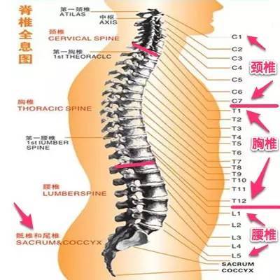 后背颈椎疼是怎么回事