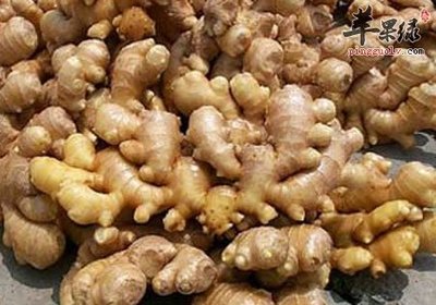怀孕了可以吃姜吗
