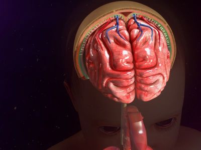 脑瘤怎么治疗最好