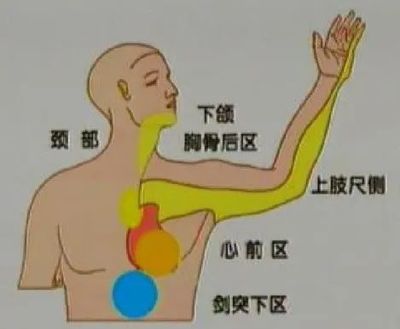 左上后背疼是怎么回事