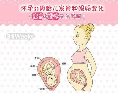 怀孕多少周算是足月胎儿