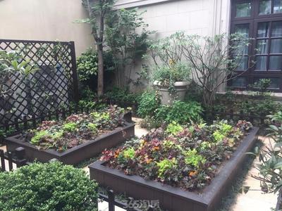 排屋花园设计