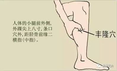 减肥的穴位有哪些