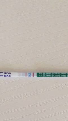 刚怀孕流血