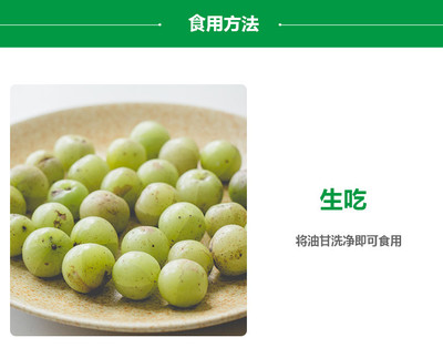 孕妇能吃油甘吗