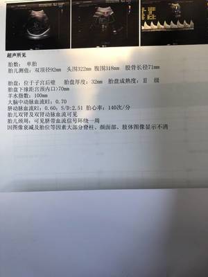 37周多少个月