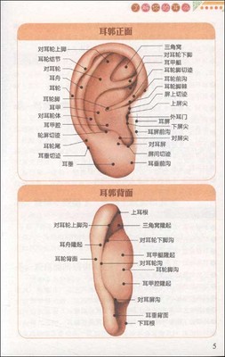 耳后长痘痘是怎么回事