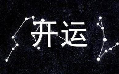 313是什么星座