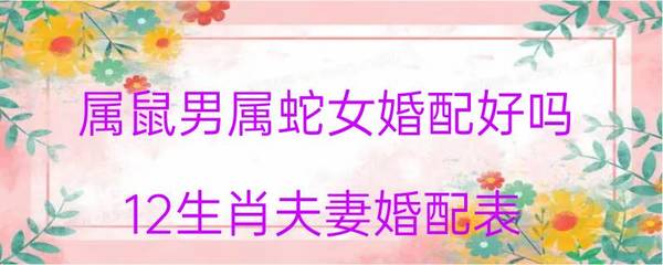男属蛇女属鼠