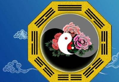 申己是什么生肖