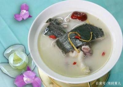 孕妇能喝甲鱼汤吗