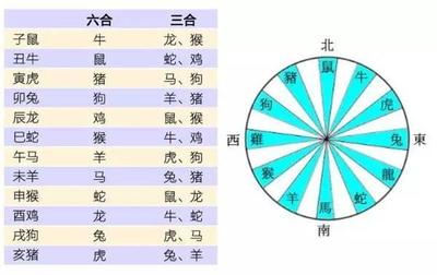 十二生肖的三合六合
