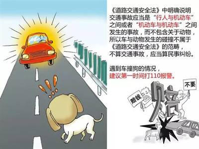出现交通事故怎么办