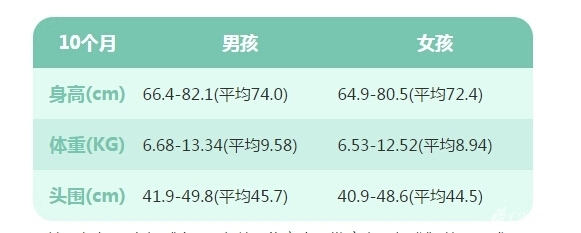 十五个月宝宝身高