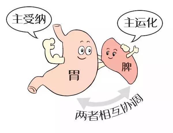 胃总感觉饿是怎么回事