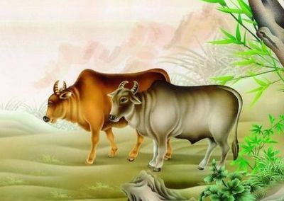 七三年属牛的是什么命
