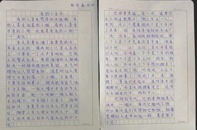 传承书香文化小学作文怎么写