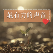 室内墙上装饰