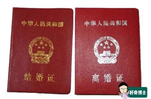 离婚证什么颜色