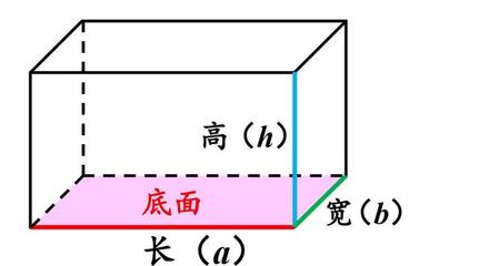 矩形面积怎么算