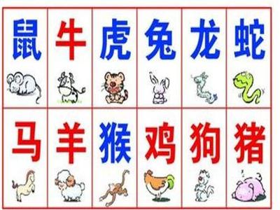 鼠与什么生肖相合