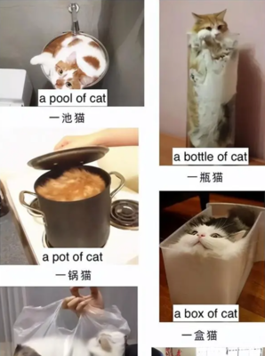 bottle的中文翻译