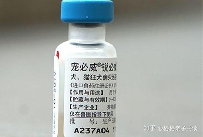 狂犬疫苗影响怀孕吗