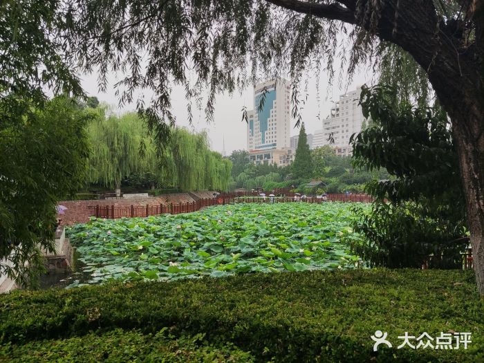郑州3天慢游自然与古韵
