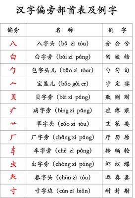 八字部首的字有哪些