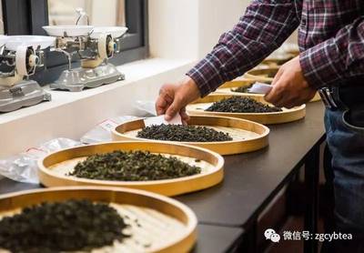 铁观音大师