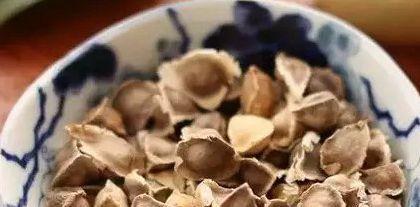 怀孕能吃菇类吗
