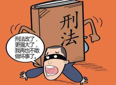刑法适用原则