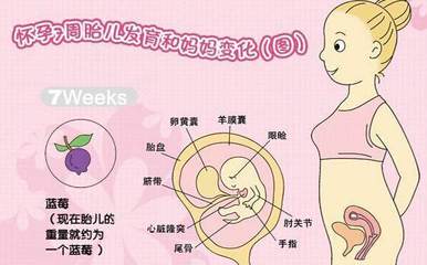 怎么才能知道怀没怀孕