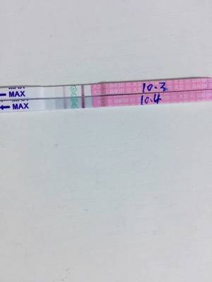 排卵期来几天