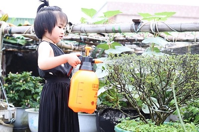 孕妇梦见浇花