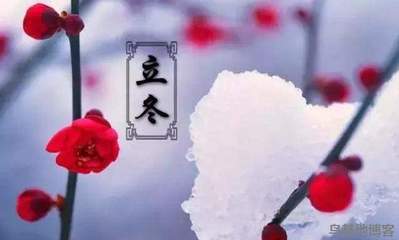 今年几月立冬