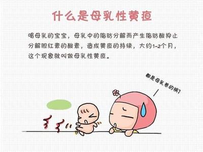 新生儿喂养次数