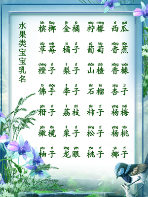 男宝宝小名字