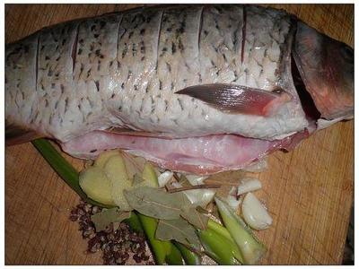 红烧鱼切鱼的刀法  红烧鲤鱼的鱼怎么改刀？ 