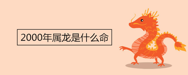 2000五行属什么命