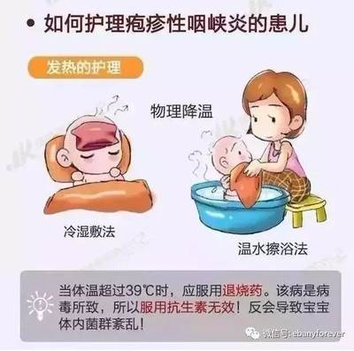 突然降温怎么给龟喂食