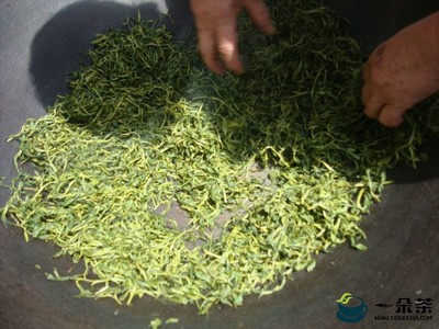 绿茶的加工工艺