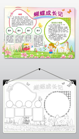 关于蝴蝶的手抄报怎么做